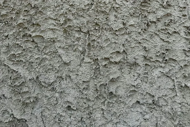 Dlaczego na moich ścianach rozwija się grzyb? Przyczyny i możliwe rozwiązania