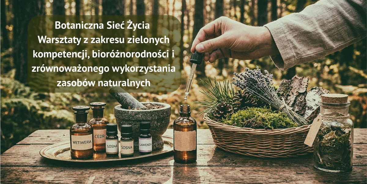 Grafika promocyjna wydarzenia Botaniczna Sieć Życia – warsztaty ekologiczne