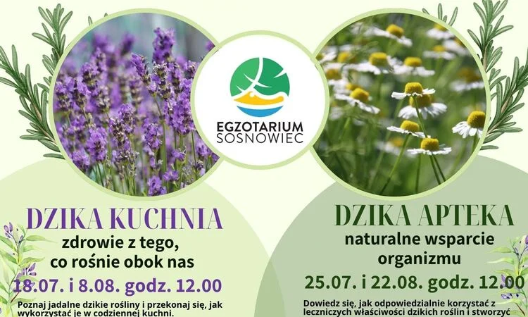Grafika promocyjna wydarzenia Dzikie warsztaty w Egzotarium – odkryj moc dzikich roślin
