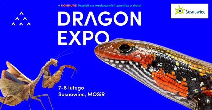 Grafika promocyjna wydarzenia Dragon Expo — terrarystyczny i botaniczny weekend w Sosnowcu