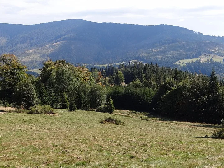 Grafika promocyjna wydarzenia Korona Beskidu Żywieckiego – Boraczy Wierch: całodniowa pętla przez hale i widoki