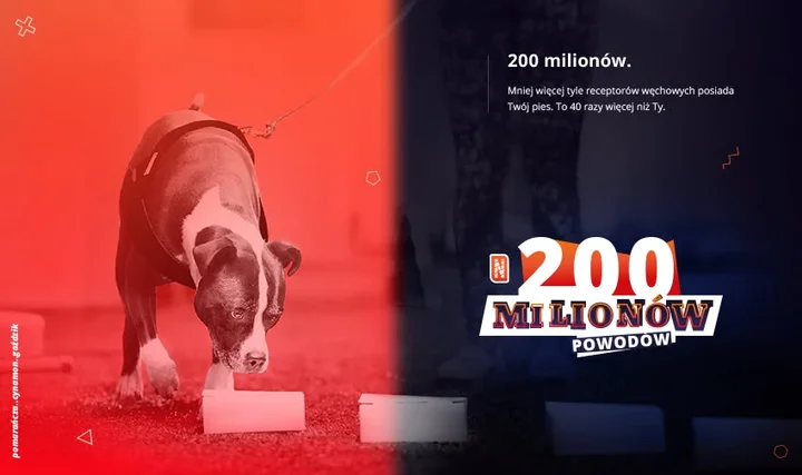 Grafika promocyjna wydarzenia Kurs Instruktor Nosework Polska — Sosnowiec 2026