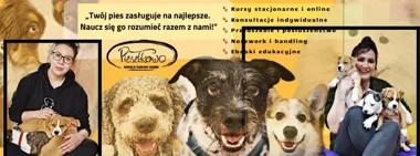 Grafika promocyjna wydarzenia HANDLING GRUPOWY DLA WSZYSTKICH RAS w Sosnowcu – zajęcia ringowe dla psów i przewodników