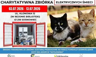 Zużyty sprzęt zamieni się w leczenie kotów. W Sosnowcu rusza zbiórka