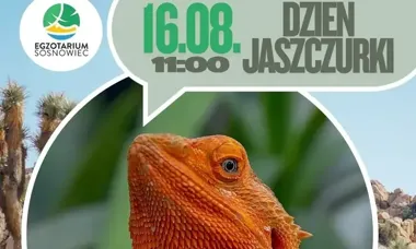 Jaszczurki w roli głównej. Egzotarium przygotowało zajęcia dla początkujących
