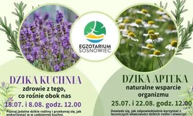 Dzika kuchnia w Egzotarium pokaże, co można zrobić z roślin obok nas