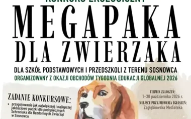 Szkoły i przedszkola z Sosnowca zbierają pomoc dla schroniska. Jest konkurs