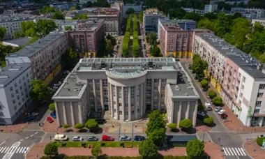 W Sosnowcu rusza pilotaż dla kotów i czipowanie bez opłat