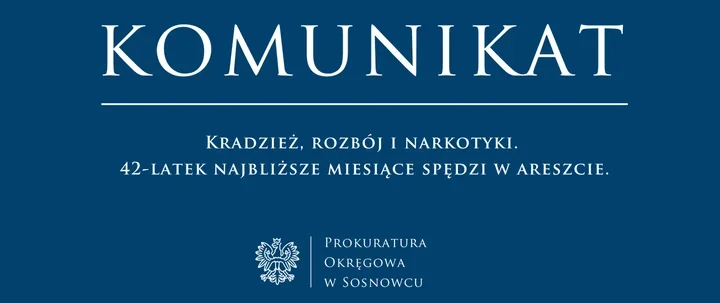 Zarzuty po kradzieży i rozboju w Sosnowcu. Podejrzany trafił do aresztu