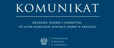 Zarzuty po kradzieży i rozboju w Sosnowcu. Podejrzany trafił do aresztu