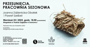 Kiedy natura wchodzi do teatru - „Przesunięcia” w Niegalerii